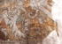 Ixmiquilpan, San Miguel Arcángel, North wall mural, detail right2