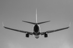 _MG_4803-BW