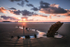 LPOTY Mwydyn _09A8724
