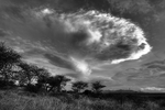 Samburu Clouds