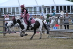 WJ7_0669