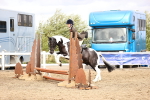 SBM_03527