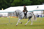 SBM_02520