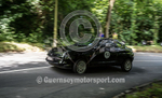 Heritage Charity Hillclimb_2014-141