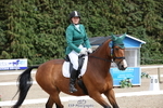 Petplan Summer Area Festival 18-20 - Click to Enter portfolio