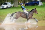 609-WHAT.A.WONDER-Harry.Robinson-SC+XC portfolio