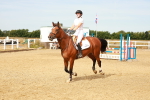 SBM_002380