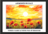 Remembrance Day Watercolour Paintings by Paul Duddell106-02-2025