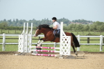SBM_011354