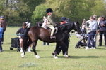 Ring 7 - Ridden Showing portfolio