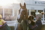 281224-Race 3-Pescatorius-1534