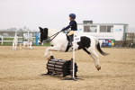 SBM_001356