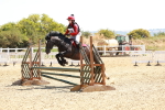 SBM_002594