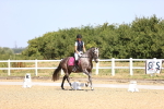 SBM_010361