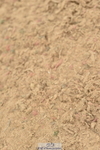 230611A-142542-06299