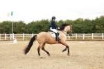 SBM_001746