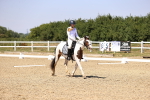 SBM_004827