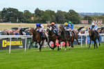 160926-Race 2-Northern Viola-9693