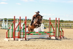 SBM_005204