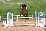 BPP_2319