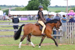 SBM_08504