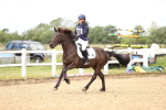 SBM_000657