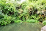 Fairy Glen