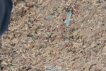 231013A-092500-00783