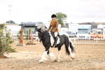 SBM_00294