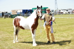 SBM_05533