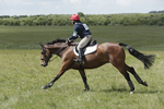 BVHT 140517  IXC -257