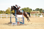 SBM_002771