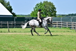 SBM_18223