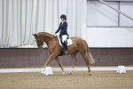 SBM_006461