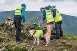 Grisedale Horseshoe-7