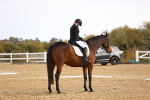 SBM_009575
