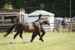 SBM_09077