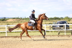 SBM_002693