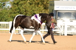 SBM_08099