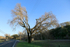 Highway 175, Hopland, California
