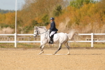 SBM_010641