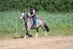 WJ7_8111