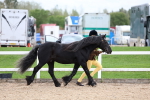 SBM_05866