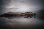 Reflections at Pine Island, Derryclare