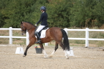 SBM_014663