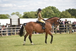 Flamstead Ring - 25-5-25 (To Follow this Morning) portfolio