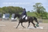 BPP_6564