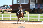 113-Ruby.Gumbley-Nova's.Golden.Dream portfolio