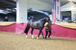 SBM_15986