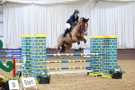 SBM_003731